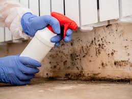 Ocean Grove, NJ Mold Removal Services Company